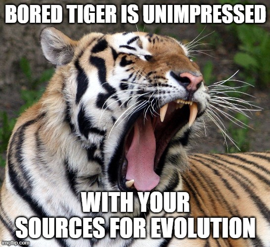 Bored Tiger is Unimpressed with your Sources for Evolution | BORED TIGER IS UNIMPRESSED; WITH YOUR SOURCES FOR EVOLUTION | image tagged in tiger yawn,evolution,bias | made w/ Imgflip meme maker