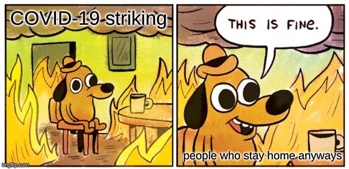 this is me | COVID-19 striking; people who stay home anyways | image tagged in memes,this is fine | made w/ Imgflip meme maker