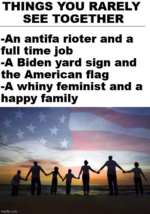 Like oil and water, they just don't mix. | THINGS YOU RARELY 
SEE TOGETHER; -An antifa rioter and a 
full time job
-A Biden yard sign and 
the American flag
-A whiny feminist and a 
happy family | image tagged in stand together,political meme | made w/ Imgflip meme maker