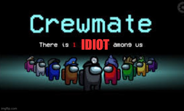 There is 1 imposter among us | IDIOT | image tagged in there is 1 imposter among us | made w/ Imgflip meme maker
