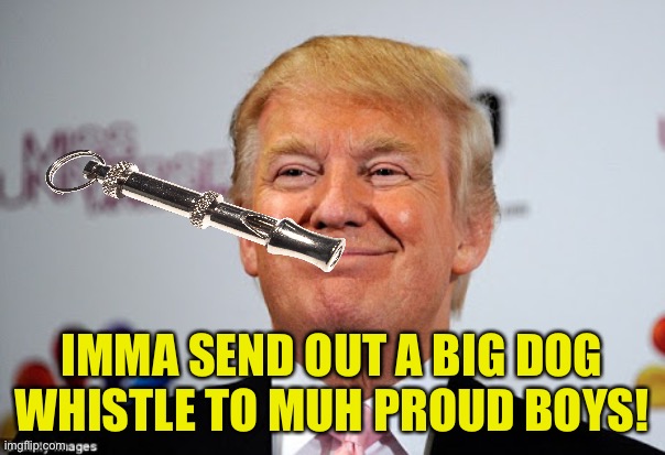 and the Proud Boys heard it loud and clear. | IMMA SEND OUT A BIG DOG WHISTLE TO MUH PROUD BOYS! | image tagged in donald trump approves,dog whistle | made w/ Imgflip meme maker