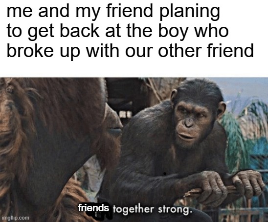 this was real talk we had | me and my friend planing to get back at the boy who broke up with our other friend; friends | image tagged in apes together strong | made w/ Imgflip meme maker