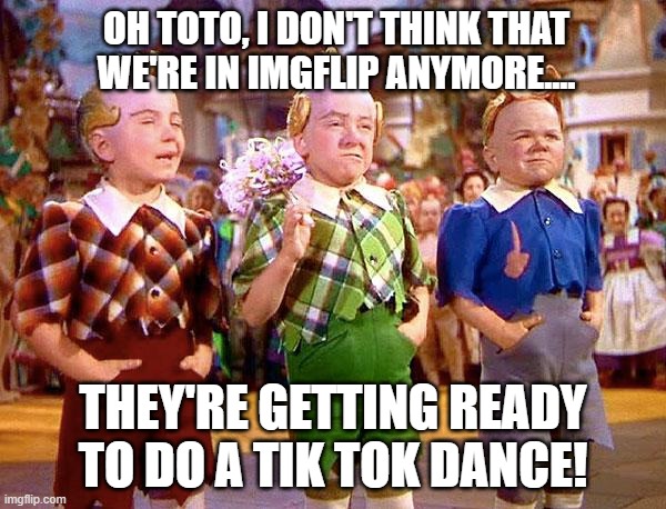 Imagine if they had TikTok and IMGFLIP during the filming of Wizard of Oz? | OH TOTO, I DON'T THINK THAT WE'RE IN IMGFLIP ANYMORE.... THEY'RE GETTING READY TO DO A TIK TOK DANCE! | image tagged in munchkins,tik tok,imgflip,wizard of oz | made w/ Imgflip meme maker