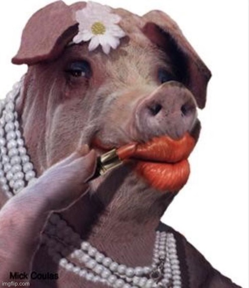 When they put lipstick on a pig. | image tagged in lipstick on a pig,scotus,supreme court,college,university,propaganda | made w/ Imgflip meme maker