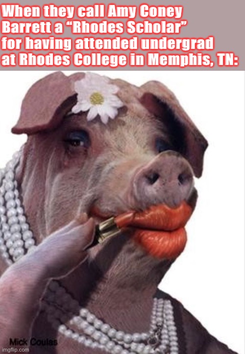 Does this meme make me a “liberal elitist” who took the bait? Maybe, or maybe just someone who insists on real definitions | When they call Amy Coney Barrett a “Rhodes Scholar” for having attended undergrad at Rhodes College in Memphis, TN: | image tagged in lipstick on a pig,education,college,supreme court,scotus,elitist | made w/ Imgflip meme maker