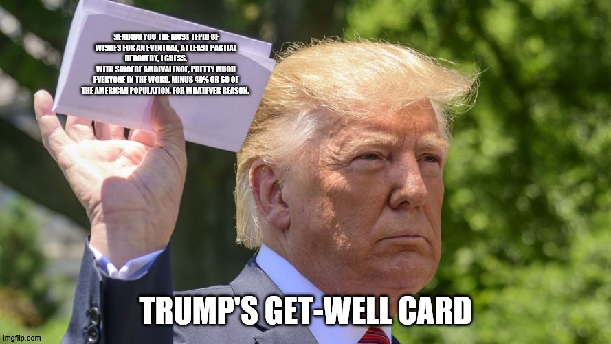 trump's get-well card | SENDING YOU THE MOST TEPID OF WISHES FOR AN EVENTUAL, AT LEAST PARTIAL RECOVERY, I GUESS.               WITH SINCERE AMBIVALENCE, PRETTY MUCH EVERYONE IN THE WORD, MINUS 40% OR SO OF THE AMERICAN POPULATION, FOR WHATEVER REASON. TRUMP'S GET-WELL CARD | image tagged in donald trump letter | made w/ Imgflip meme maker