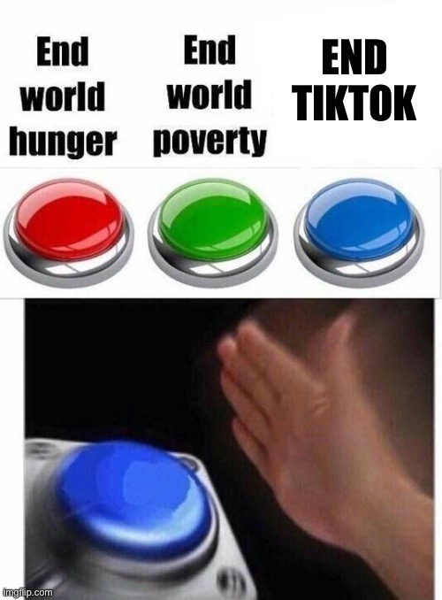 Fo not take this seriously | END TIKTOK | image tagged in blue button thingy | made w/ Imgflip meme maker