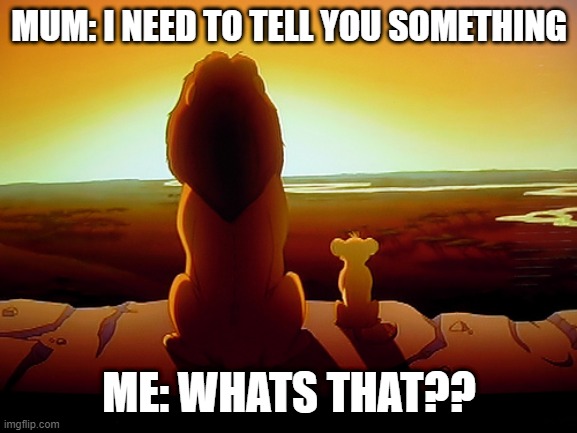 Lion King Meme | MUM: I NEED TO TELL YOU SOMETHING; ME: WHATS THAT?? | image tagged in memes,lion king | made w/ Imgflip meme maker
