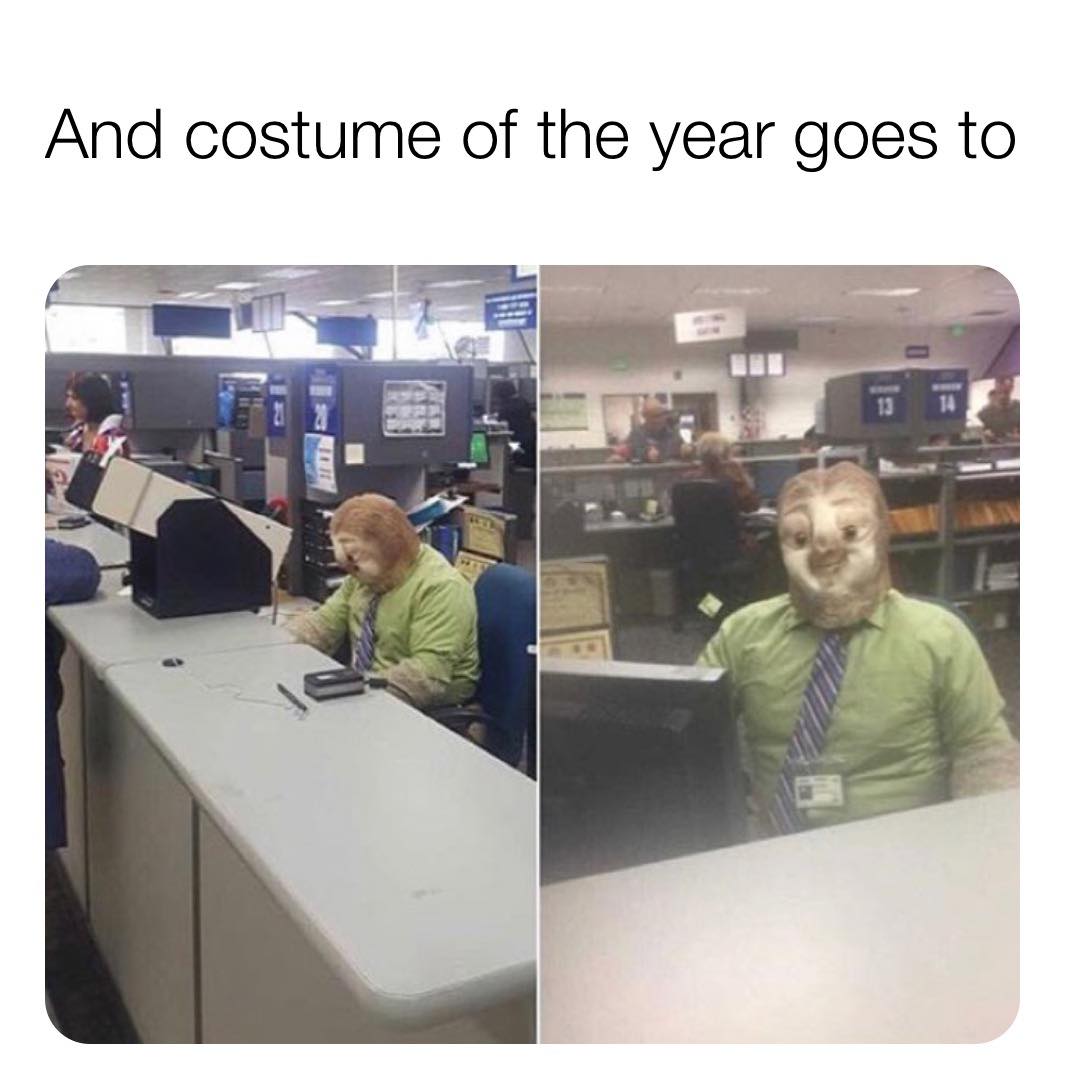 High Quality Sloth costume of the year Blank Meme Template