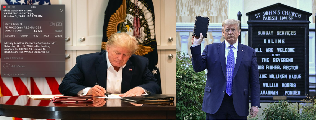 High Quality King of Photo Op Trump Blank Meme Template