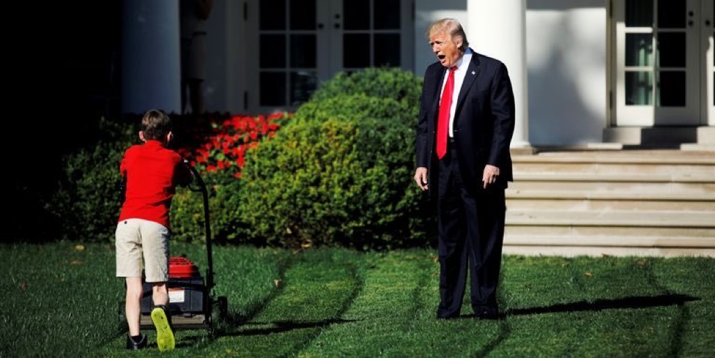 Trump lawn Blank Meme Template