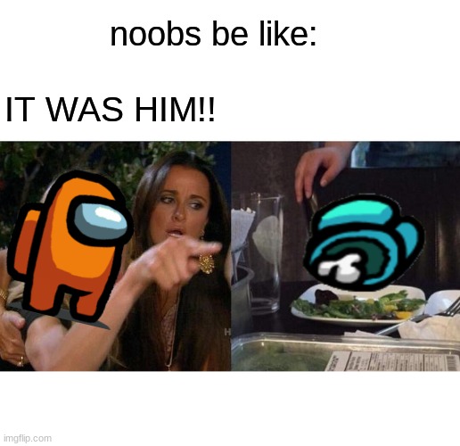 Woman Yelling At Cat | noobs be like:; IT WAS HIM!! | image tagged in memes,woman yelling at cat | made w/ Imgflip meme maker