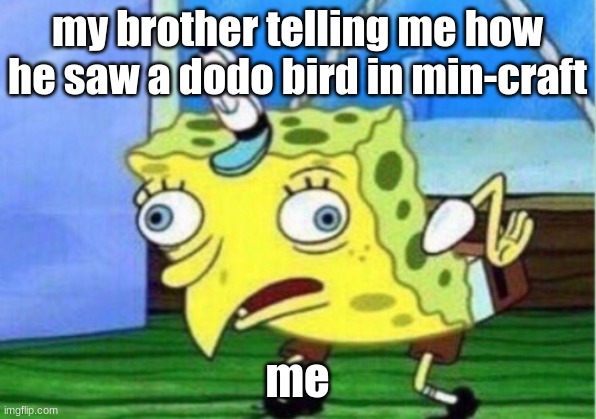 edd | my brother telling me how he saw a dodo bird in min-craft; me | image tagged in memes | made w/ Imgflip meme maker