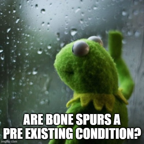 Kermit Wonders | ARE BONE SPURS A PRE EXISTING CONDITION? | image tagged in sometimes i wonder | made w/ Imgflip meme maker