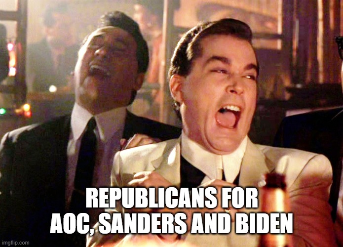 Good Fellas Hilarious Meme | REPUBLICANS FOR AOC, SANDERS AND BIDEN | image tagged in memes,good fellas hilarious | made w/ Imgflip meme maker