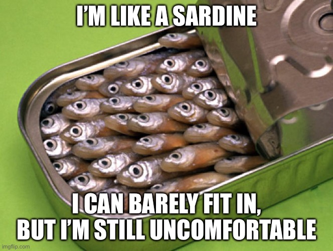 Sardines | I’M LIKE A SARDINE; I CAN BARELY FIT IN, BUT I’M STILL UNCOMFORTABLE | image tagged in sardines | made w/ Imgflip meme maker