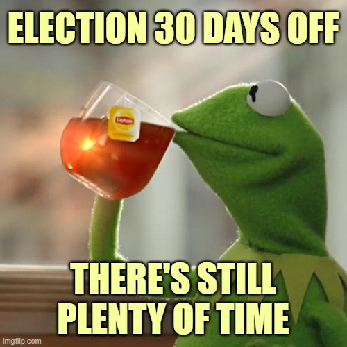 But That's None Of My Business Meme | ELECTION 30 DAYS OFF THERE'S STILL PLENTY OF TIME | image tagged in memes,but that's none of my business,kermit the frog | made w/ Imgflip meme maker