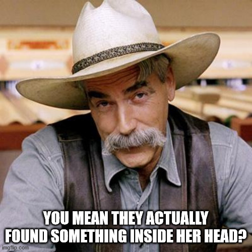 SARCASM COWBOY | YOU MEAN THEY ACTUALLY FOUND SOMETHING INSIDE HER HEAD? | image tagged in sarcasm cowboy | made w/ Imgflip meme maker