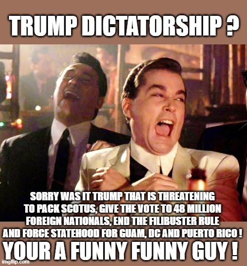 Good Fellas Hilarious Meme | TRUMP DICTATORSHIP ? SORRY WAS IT TRUMP THAT IS THREATENING TO PACK SCOTUS, GIVE THE VOTE TO 48 MILLION FOREIGN NATIONALS, END THE FILIBUSTE | image tagged in memes,good fellas hilarious | made w/ Imgflip meme maker