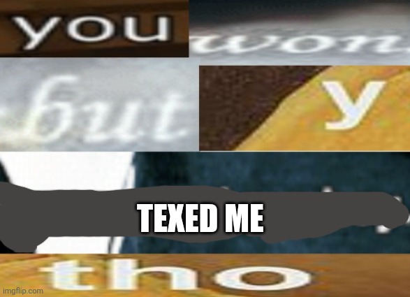 You won | TEXED ME | image tagged in you won | made w/ Imgflip meme maker