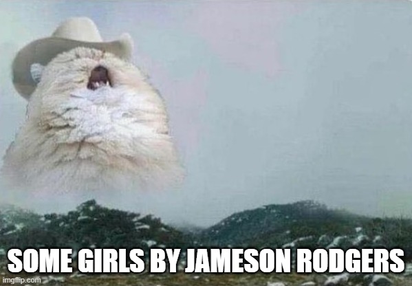 good song | SOME GIRLS BY JAMESON RODGERS | image tagged in country cat,cool | made w/ Imgflip meme maker