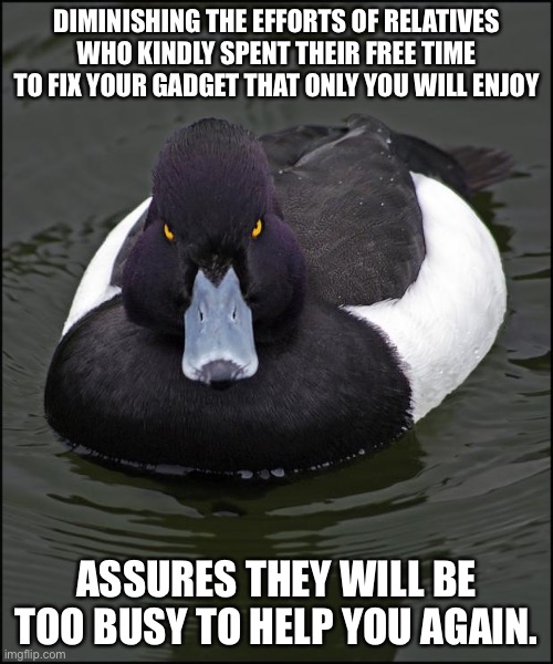 Angry duck | DIMINISHING THE EFFORTS OF RELATIVES WHO KINDLY SPENT THEIR FREE TIME TO FIX YOUR GADGET THAT ONLY YOU WILL ENJOY; ASSURES THEY WILL BE TOO BUSY TO HELP YOU AGAIN. | image tagged in angry duck,memes | made w/ Imgflip meme maker