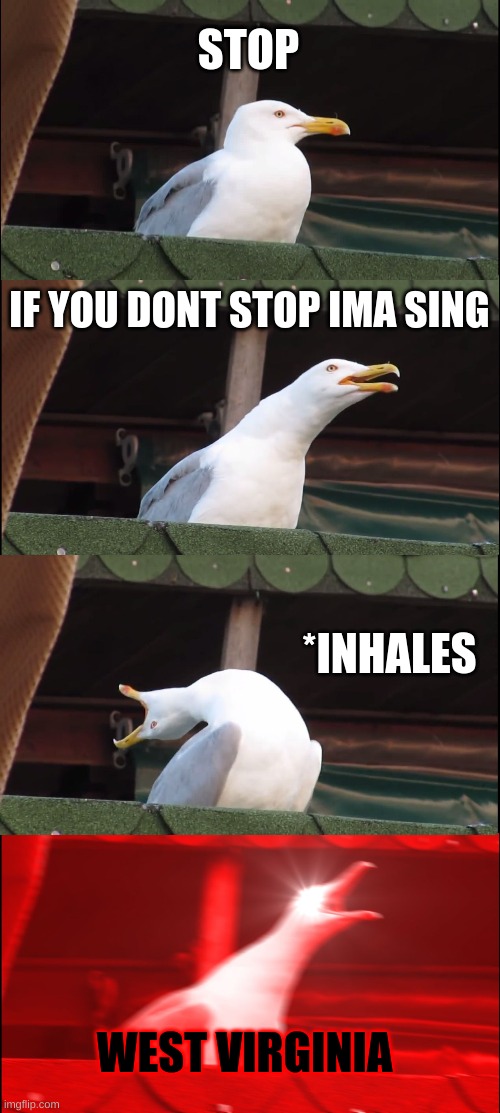 Inhaling Seagull | STOP; IF YOU DONT STOP IMA SING; *INHALES; WEST VIRGINIA | image tagged in memes,inhaling seagull | made w/ Imgflip meme maker