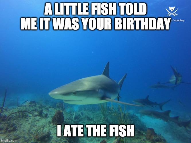 happy birthday | A LITTLE FISH TOLD ME IT WAS YOUR BIRTHDAY; I ATE THE FISH | image tagged in sharks,birthday wishes | made w/ Imgflip meme maker