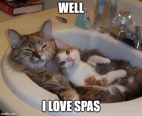 CAT SPA!!!!!!!!! | WELL; I LOVE SPAS | image tagged in cats in sink,cat | made w/ Imgflip meme maker