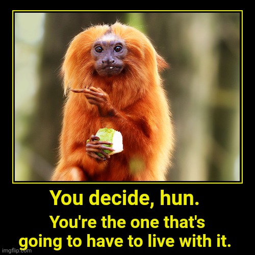 You decide, hun | image tagged in funny,demotivationals | made w/ Imgflip demotivational maker