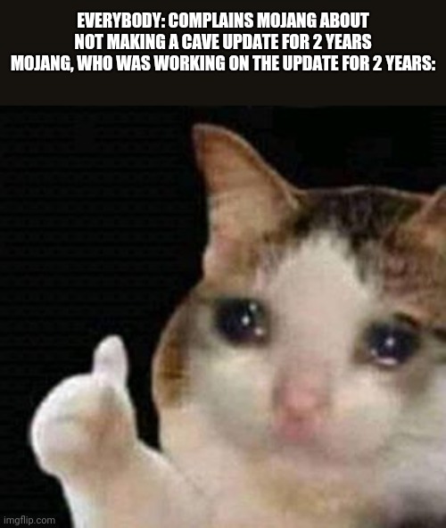 Sorry Mojang | EVERYBODY: COMPLAINS MOJANG ABOUT NOT MAKING A CAVE UPDATE FOR 2 YEARS
MOJANG, WHO WAS WORKING ON THE UPDATE FOR 2 YEARS: | image tagged in sad thumbs up cat | made w/ Imgflip meme maker