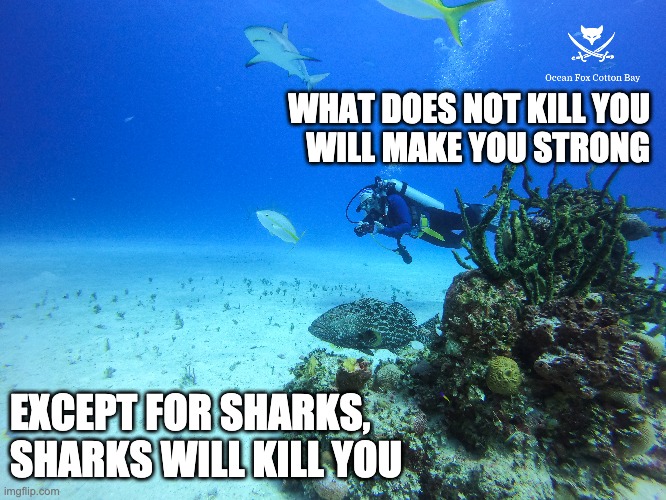 sharks | WHAT DOES NOT KILL YOU
 WILL MAKE YOU STRONG; EXCEPT FOR SHARKS, SHARKS WILL KILL YOU | image tagged in shark diving,save the sharkss | made w/ Imgflip meme maker