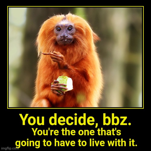 You decide, bbz. | image tagged in funny,demotivationals | made w/ Imgflip demotivational maker