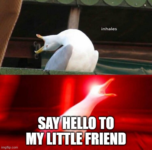 Inhaling Seagull  | SAY HELLO TO MY LITTLE FRIEND | image tagged in inhaling seagull | made w/ Imgflip meme maker