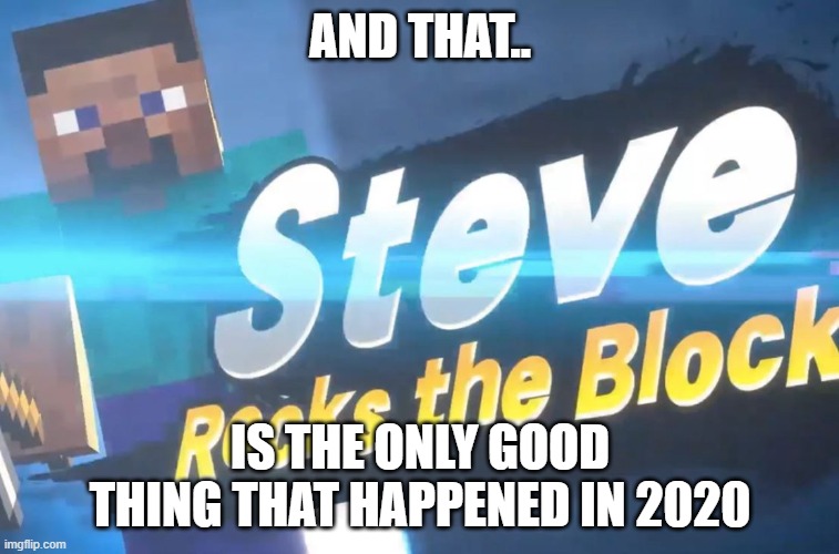 Steve! | AND THAT.. IS THE ONLY GOOD THING THAT HAPPENED IN 2020 | image tagged in memes,super smash bros,steve,steve rocks the block,steve joins the battle | made w/ Imgflip meme maker