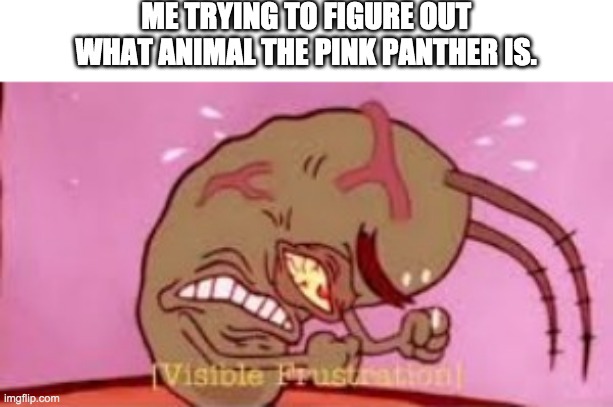 confusing | ME TRYING TO FIGURE OUT WHAT ANIMAL THE PINK PANTHER IS. | image tagged in visible frustration,memes,pink panther | made w/ Imgflip meme maker