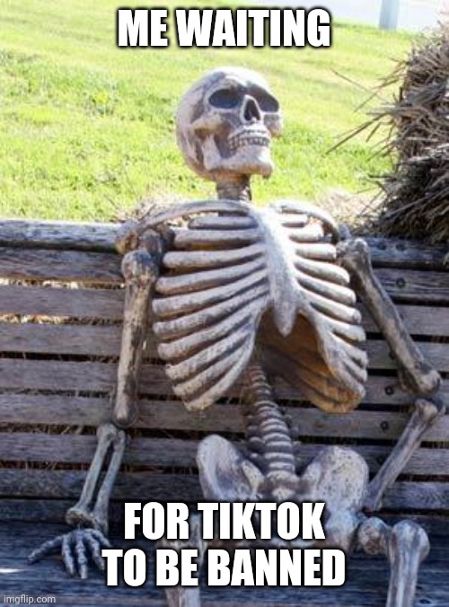 Waiting Skeleton | ME WAITING; FOR TIKTOK TO BE BANNED | image tagged in memes,waiting skeleton | made w/ Imgflip meme maker