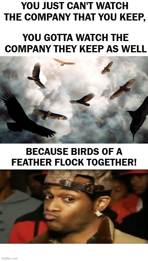 Vultures Watch The Company You Keep And The Company They Keep | YOU JUST CAN'T WATCH THE COMPANY THAT YOU KEEP, YOU GOTTA WATCH THE COMPANY THEY KEEP AS WELL; BECAUSE BIRDS OF A FEATHER FLOCK TOGETHER! | image tagged in vultures watch the company you keep and the company they keep | made w/ Imgflip meme maker