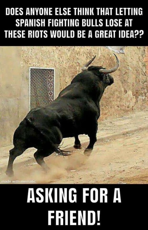 Black Lives Matter | image tagged in spanish fighting bulls,bullfights,black lives matter,antifa,riots,black lies matter | made w/ Imgflip meme maker