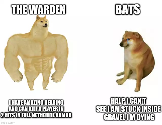 Warden be scary | BATS; THE WARDEN; I HAVE AMAZING HEARING AND CAN KILL A PLAYER IN 2 HITS IN FULL NETHERITE ARMOR; HALP I CAN'T SEE I AM STUCK INSIDE  GRAVEL I M DYING | image tagged in buff doge vs cheems | made w/ Imgflip meme maker