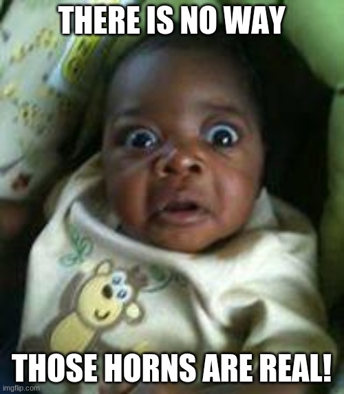 No way | THERE IS NO WAY THOSE HORNS ARE REAL! | image tagged in no way | made w/ Imgflip meme maker