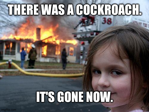 Creepy girl | THERE WAS A COCKROACH. IT'S GONE NOW. | image tagged in memes,disaster girl | made w/ Imgflip meme maker