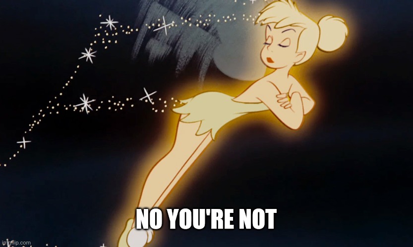 Tinkerbell | NO YOU'RE NOT | image tagged in tinkerbell | made w/ Imgflip meme maker