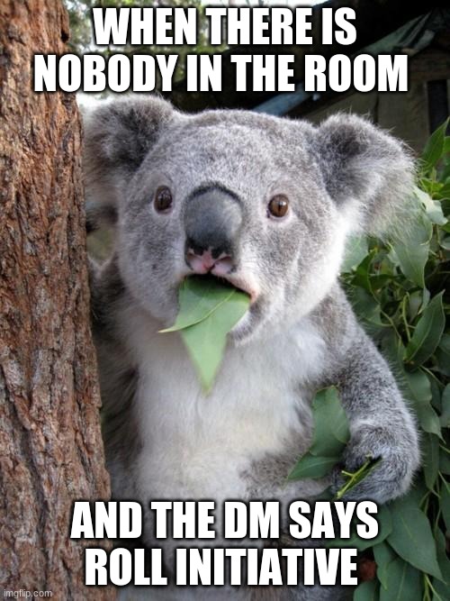 Surprised Koala Meme | WHEN THERE IS NOBODY IN THE ROOM; AND THE DM SAYS ROLL INITIATIVE | image tagged in memes,surprised koala | made w/ Imgflip meme maker