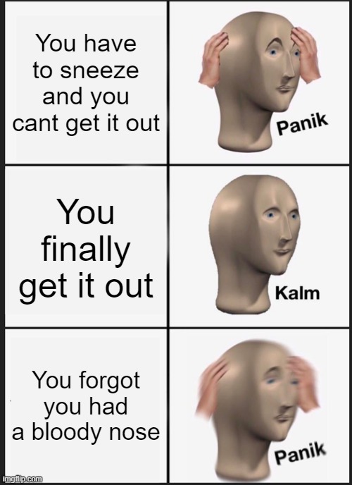 "I didnt kill anyone, promise" | You have to sneeze and you cant get it out; You finally get it out; You forgot you had a bloody nose | image tagged in memes,panik kalm panik | made w/ Imgflip meme maker