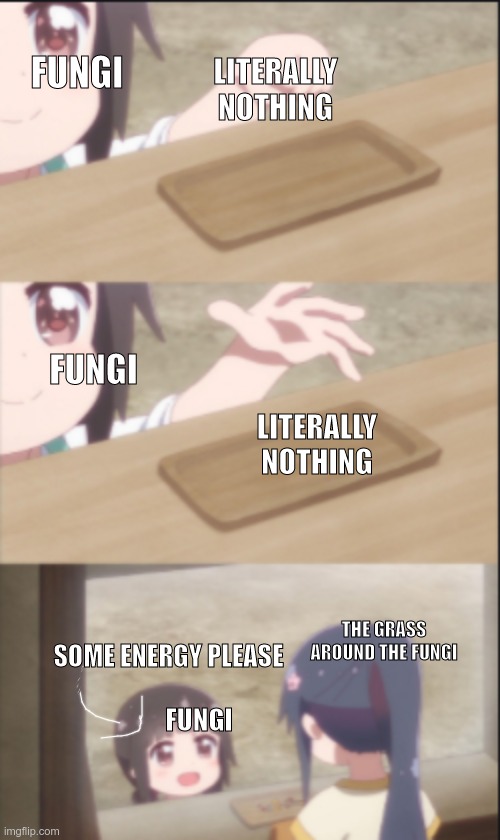 Fungi be like | FUNGI; LITERALLY NOTHING; FUNGI; LITERALLY NOTHING; SOME ENERGY PLEASE; THE GRASS AROUND THE FUNGI; FUNGI | image tagged in idk | made w/ Imgflip meme maker