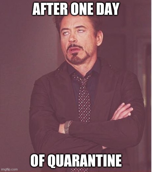 Face You Make Robert Downey Jr Meme |  AFTER ONE DAY; OF QUARANTINE | image tagged in memes,face you make robert downey jr | made w/ Imgflip meme maker