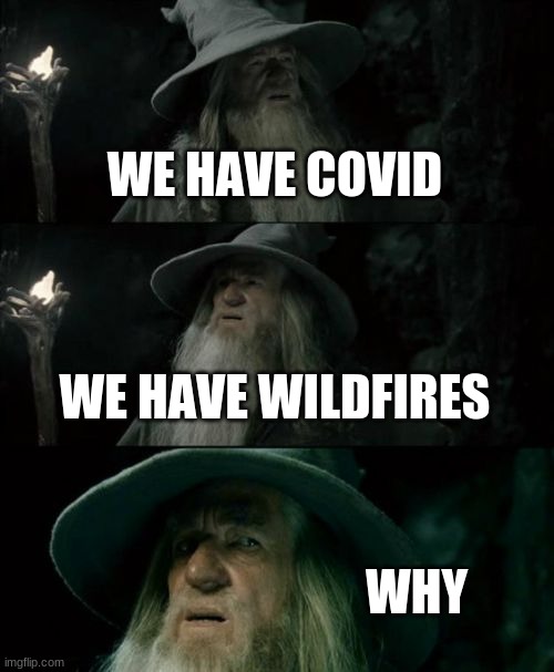 Confused Gandalf Meme | WE HAVE COVID; WE HAVE WILDFIRES; WHY | image tagged in memes,confused gandalf | made w/ Imgflip meme maker