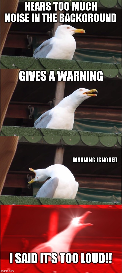 Inhaling Seagull Meme | HEARS TOO MUCH NOISE IN THE BACKGROUND; GIVES A WARNING; WARNING IGNORED; I SAID IT'S TOO LOUD!! | image tagged in memes,inhaling seagull | made w/ Imgflip meme maker