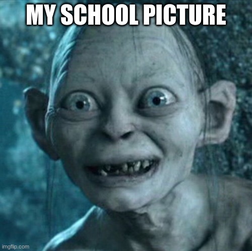 Gollum | MY SCHOOL PICTURE | image tagged in memes,gollum | made w/ Imgflip meme maker